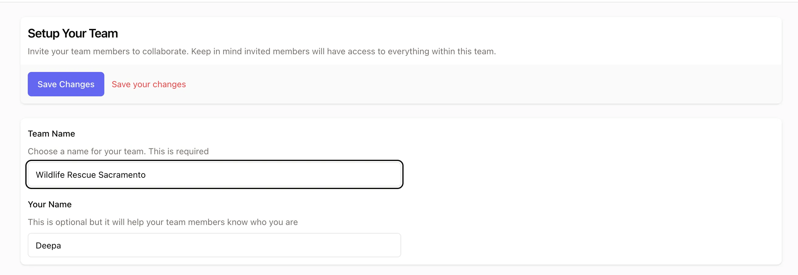 Naming your team