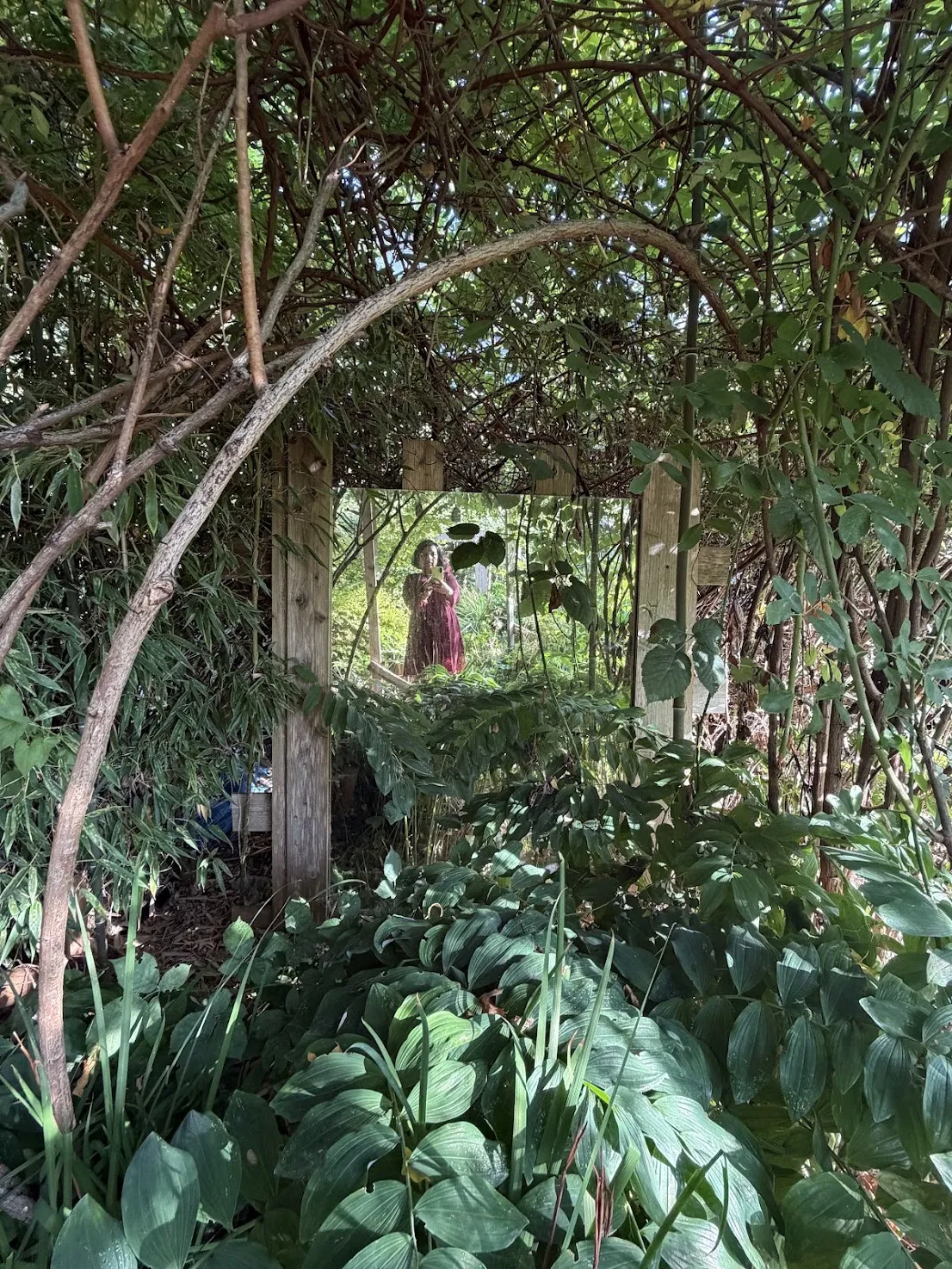 The author reflected in a mirror tucked into the garden greenery at City Farmer, Vancouver