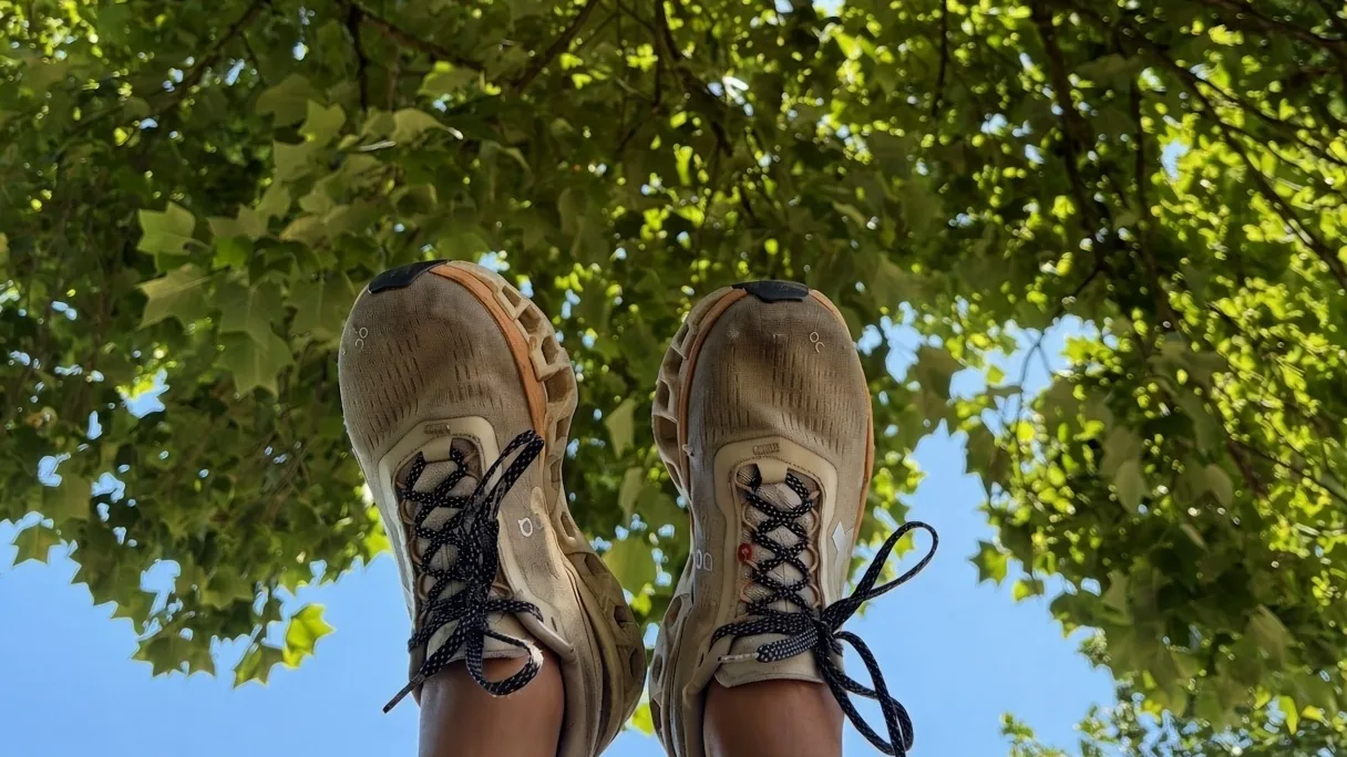 Looking up through a sunlit green tree canopy at a pair of worn trail sneakers, feet raised toward a blue sky