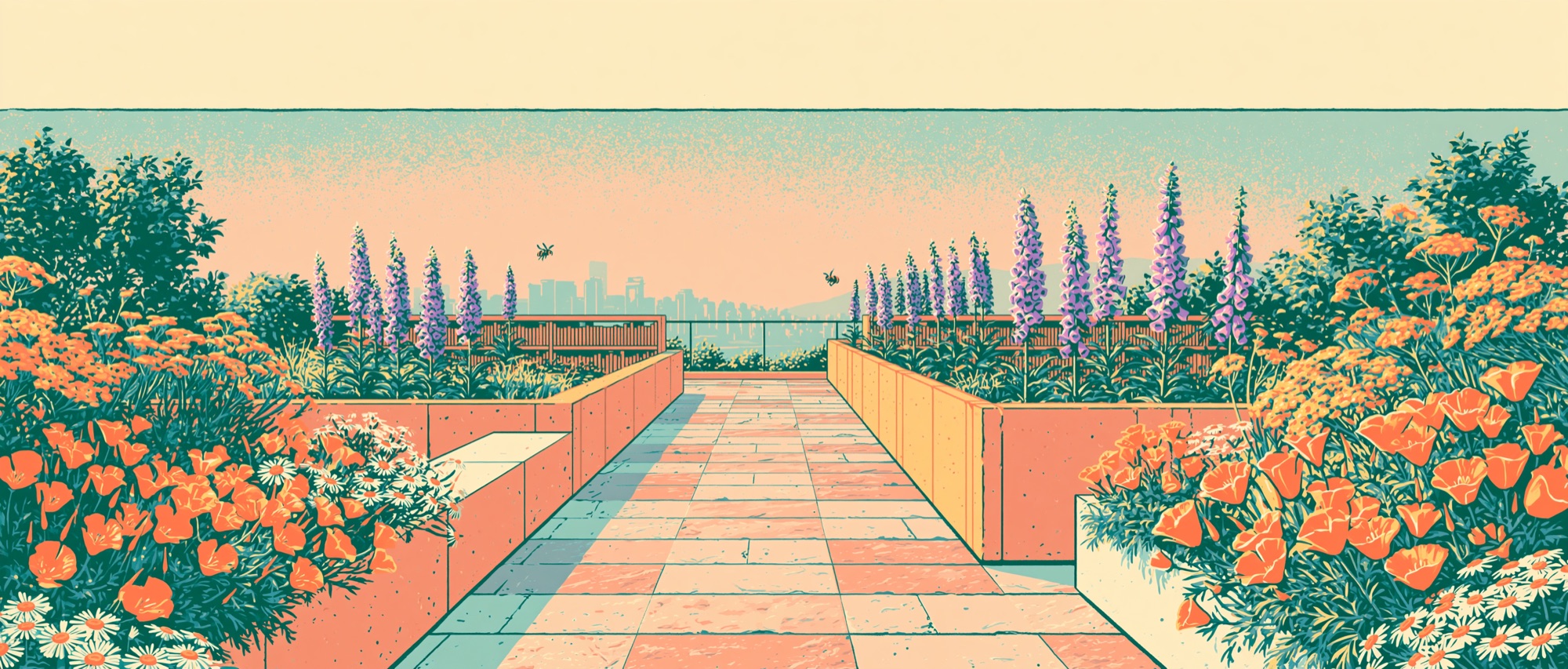 A risograph illustration of a Vancouver rooftop pollinator garden — a paved path between planters of foxglove, poppies and daisies leading toward the city skyline.